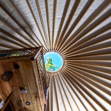 Yourtes Glamping du Poisson Blanc Notre-Dame-du-Laus Extérieur photo